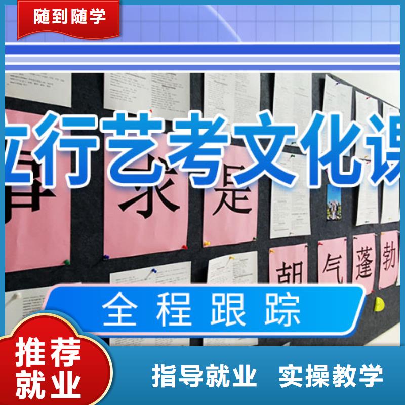 藝考生文化課沖刺高中一對一輔導學真技術