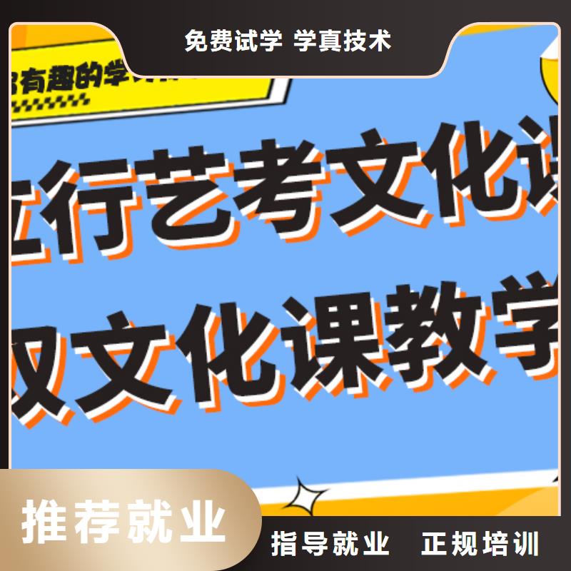 藝考生文化課沖刺高中一對一輔導學真技術