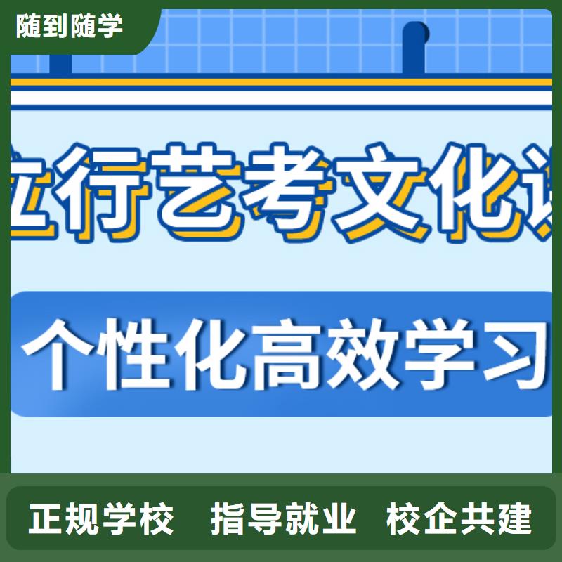 藝術生文化課培訓機構2025級怎么樣