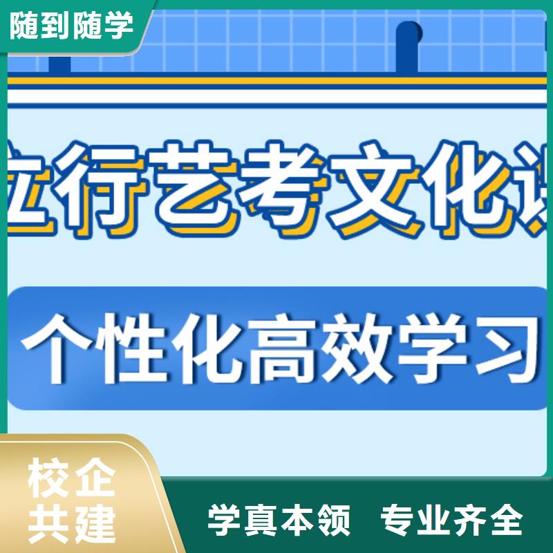 藝術(shù)生文化課培訓(xùn)機(jī)構(gòu)2025級怎么樣