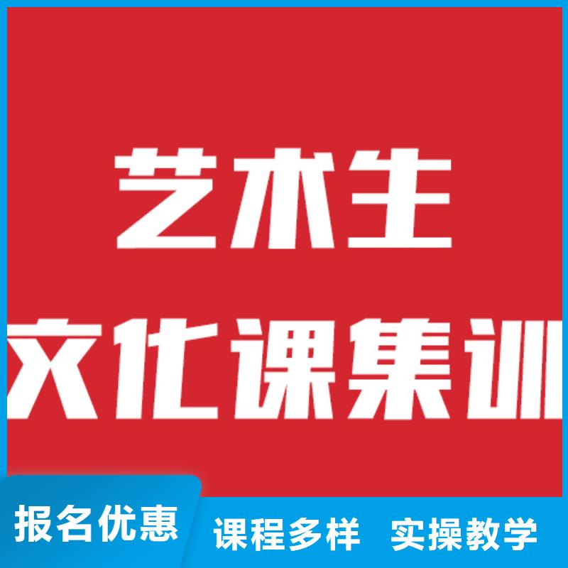 藝考文化課機構(gòu),高考補習班理論+實操