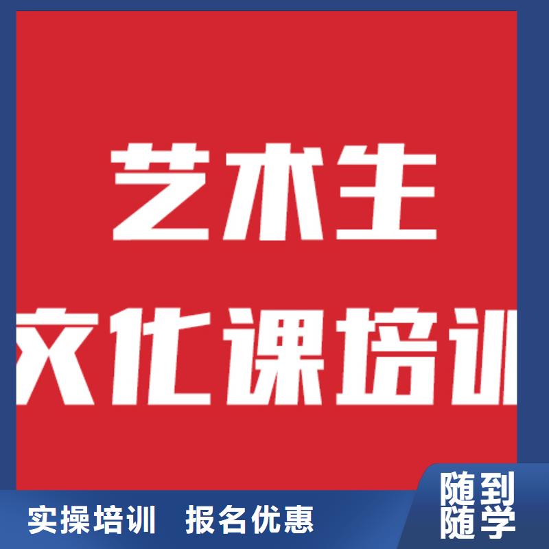 藝考文化課機構(gòu),高考補習班理論+實操
