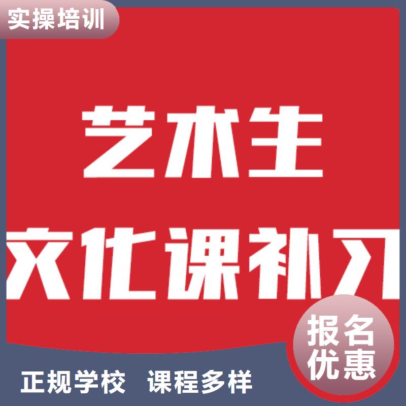 藝考文化課機構(gòu),高考補習班理論+實操