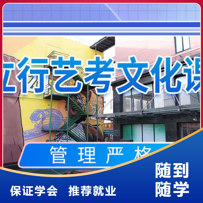 艺考文化课学校艺考生一对一补习正规学校