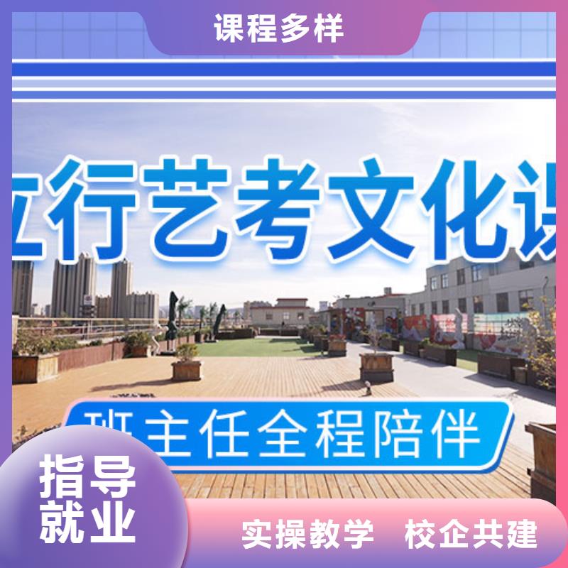 藝考生文化課培訓補習哪個好