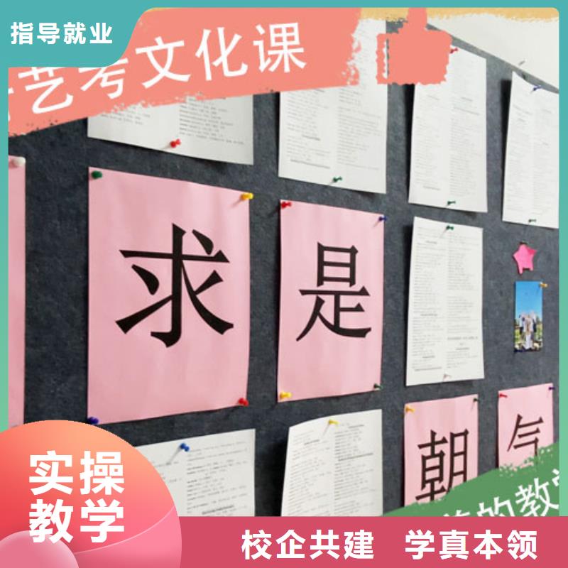 藝考文化課培訓高中一對一輔導實操培訓