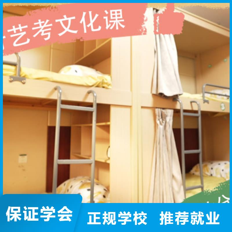 藝術生文化課培訓補習好不好一線名師