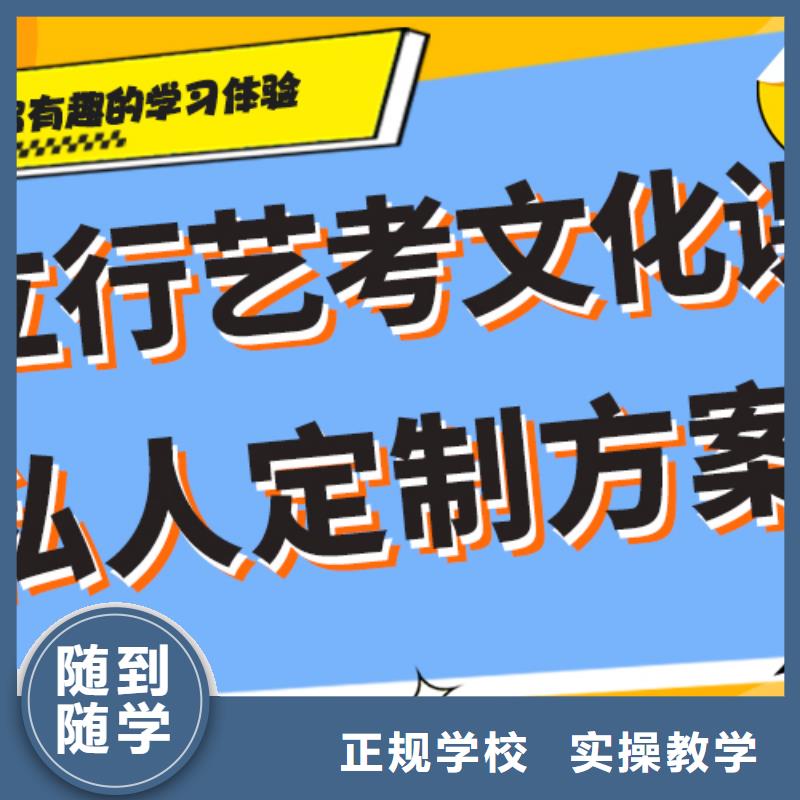 藝考文化課培訓高中一對一輔導實操培訓