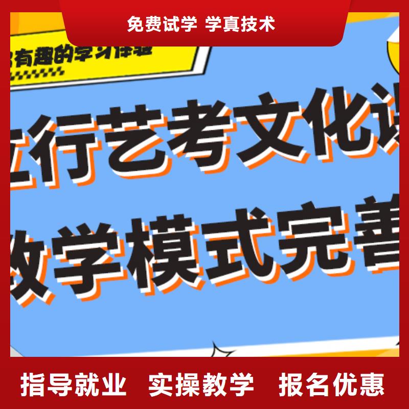 藝考文化課培訓高中一對一輔導實操培訓