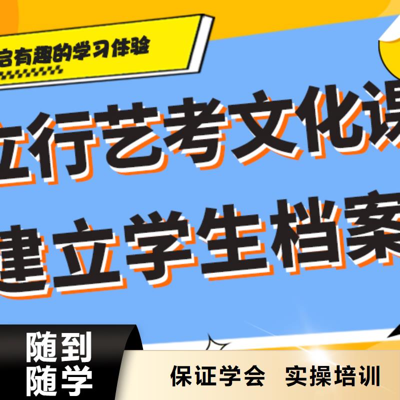 藝考文化課培訓高中一對一輔導實操培訓