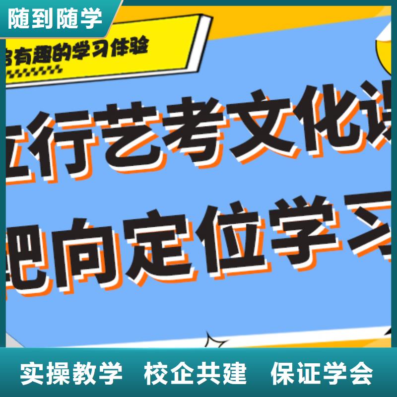 藝考文化課培訓高中一對一輔導實操培訓