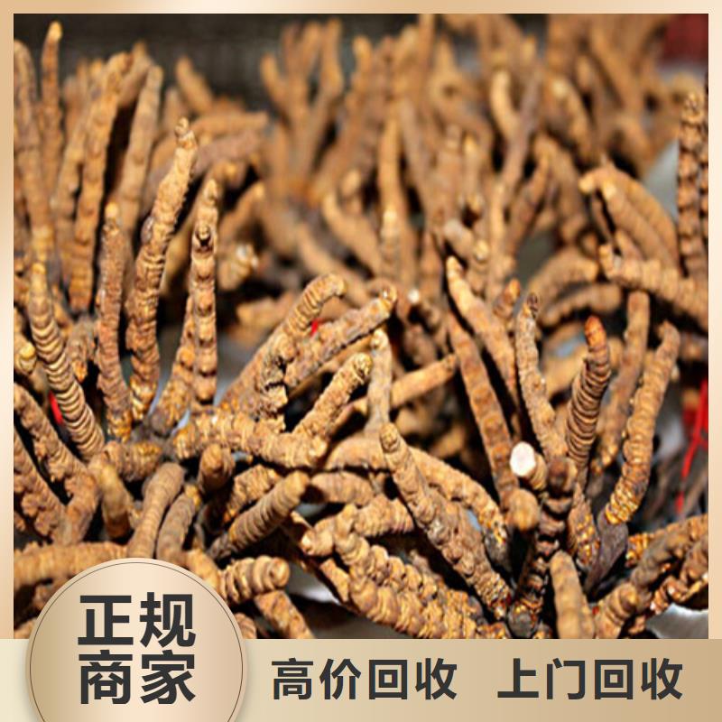 縣回收虎年茅臺酒2025省市縣+鄉鎮+派+送保證時效