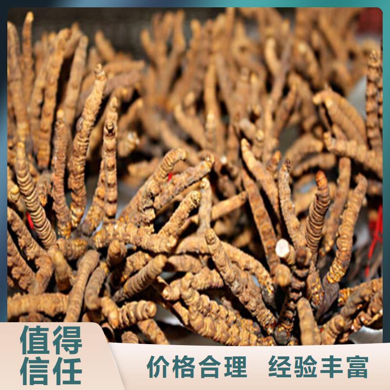 回收張弓大曲電話.聯系方式