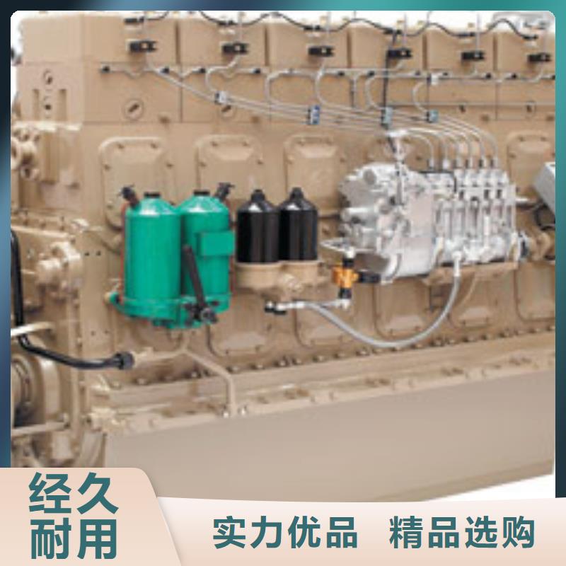 貝隆柴油發(fā)電機性價比高