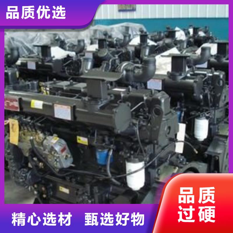 常年供應柴油發動機-價格優惠