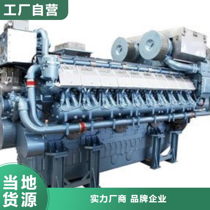292F雙缸風冷柴油機_保證