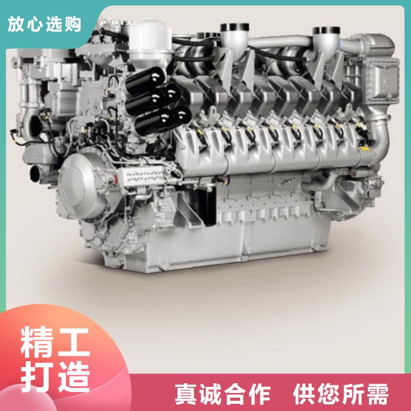 常年供應(yīng)柴油發(fā)動機-價格優(yōu)惠