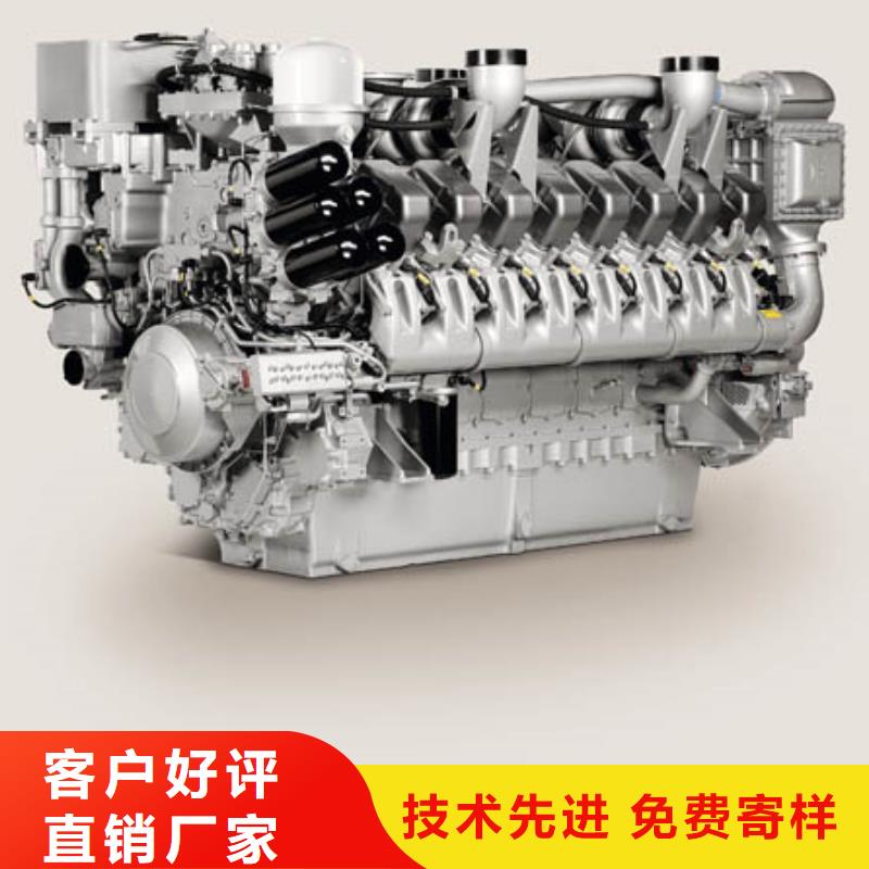 貝隆柴油發電機廠家-可按需定制