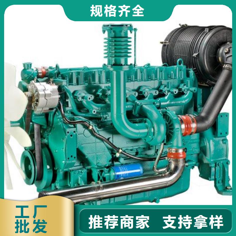 貝隆柴油發電機廠家支持定制