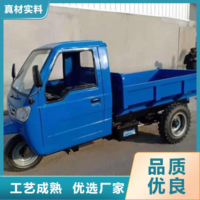 價格低的（瑞迪通）農用三輪車供應商
