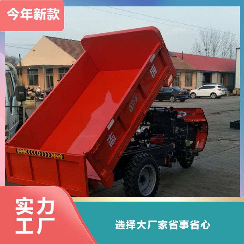 （瑞迪通）農(nóng)用三輪車公司-加工廠