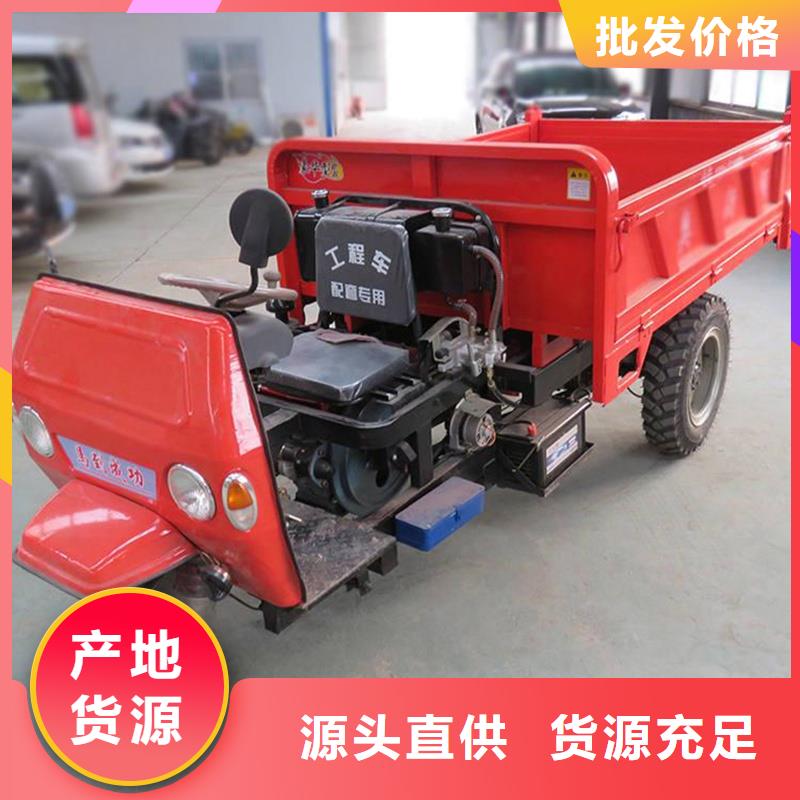 高品質瑞迪通三輪車供應商