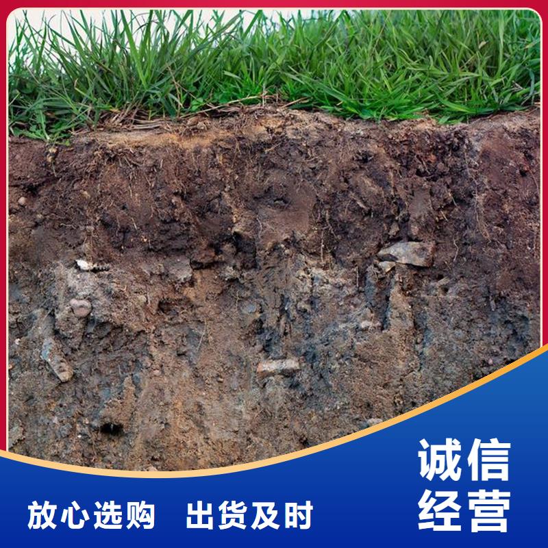 經(jīng)驗豐富的原生泰黃泥抹面強固劑銷售廠家