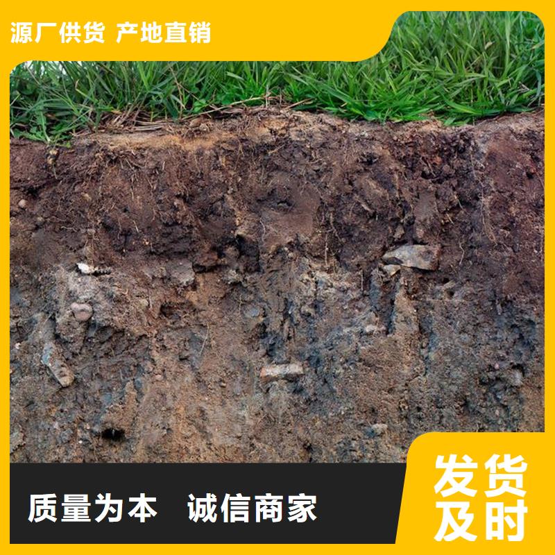 支持定制的原生泰土壤固化劑供貨商