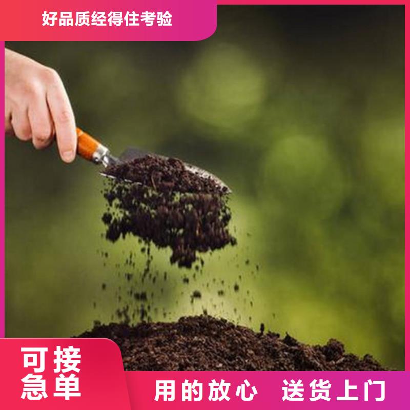 夯土墻專用固化劑批發無中間商