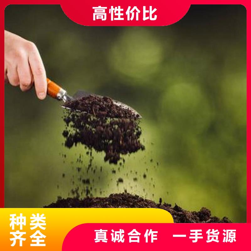 原生泰土壤固化劑直供全國品牌:本地廠家