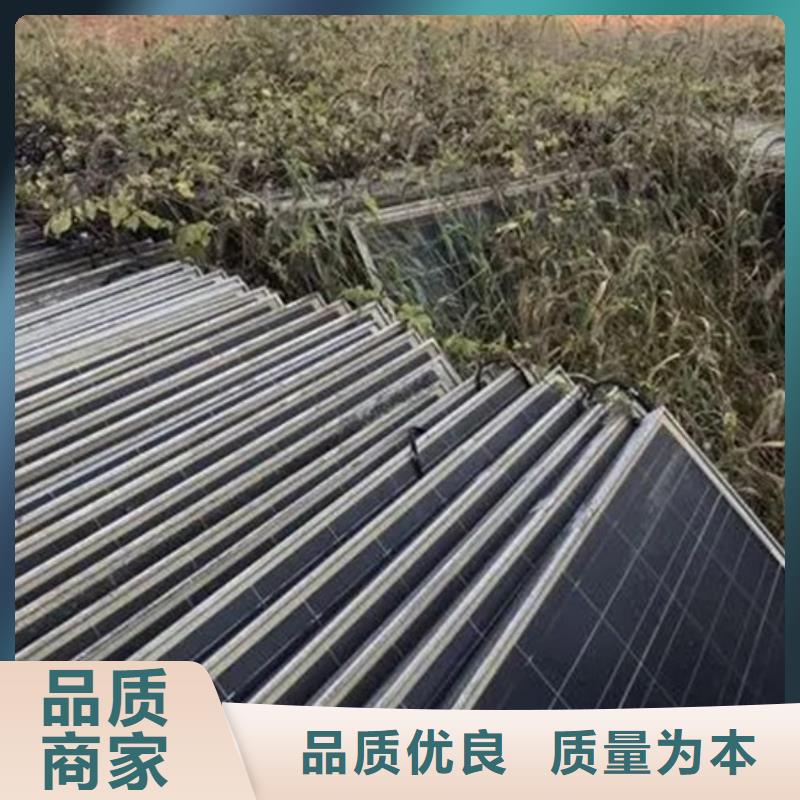 光伏板光伏組件回收廠家誠信高價