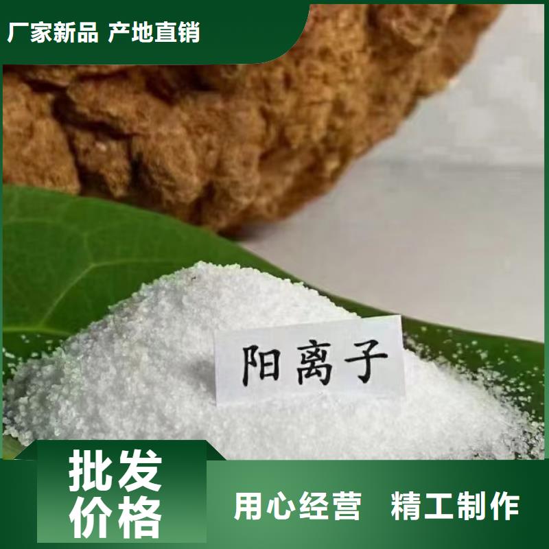 聚丙烯酰胺技术先进