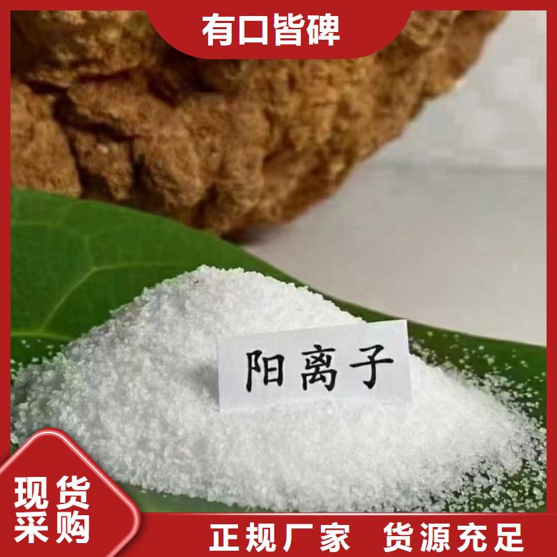 聚丙烯酰胺 聚铁优质工艺
