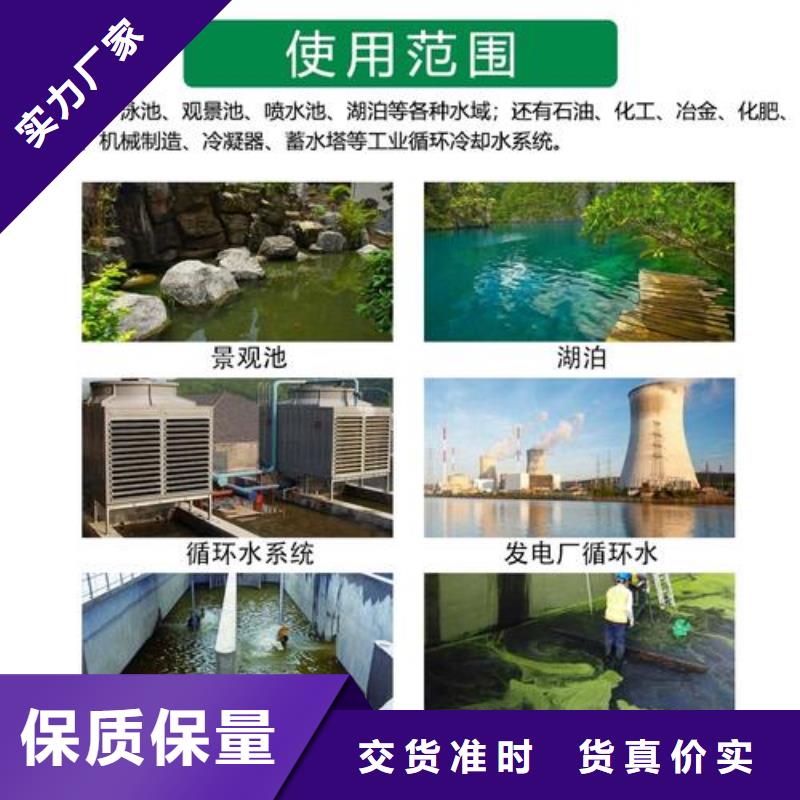 【殺菌滅藻劑PAM非離子顏色尺寸款式定制】