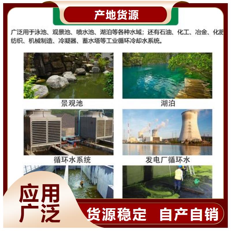 殺菌滅藻劑按需定做