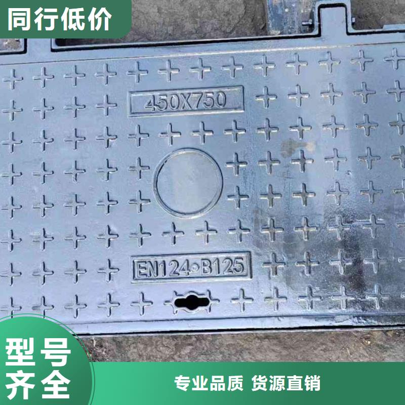 化糞池井蓋來圖定制建通鑄造廠家
