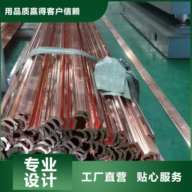 紫銅排實力廠商