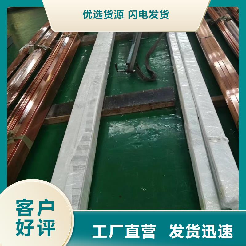 紫銅排實力廠商