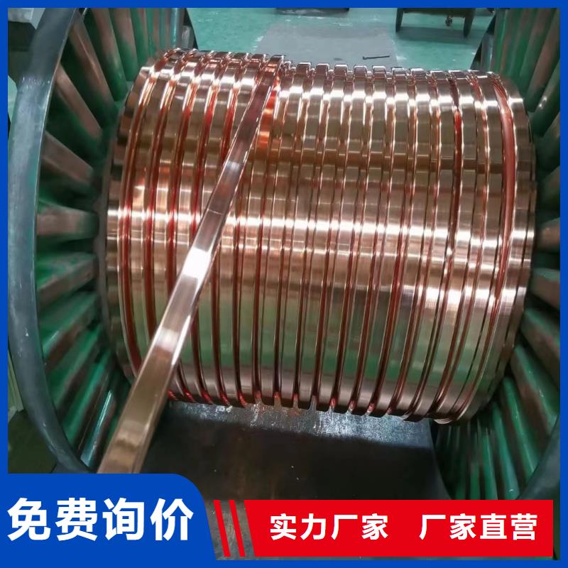 接地紫銅排型號