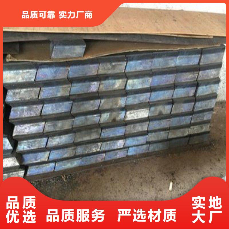 鉛門支持定制加工