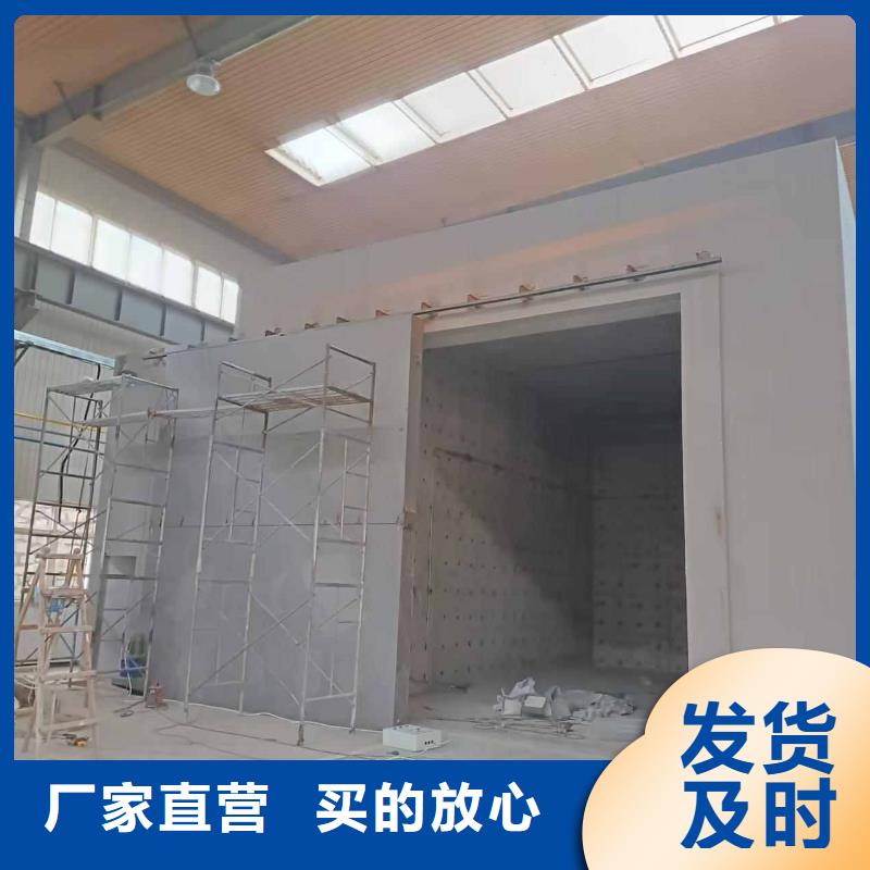 探傷室防護門支持加工定制