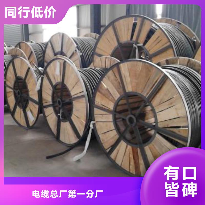 電線電纜PTYA23電纜今日價格