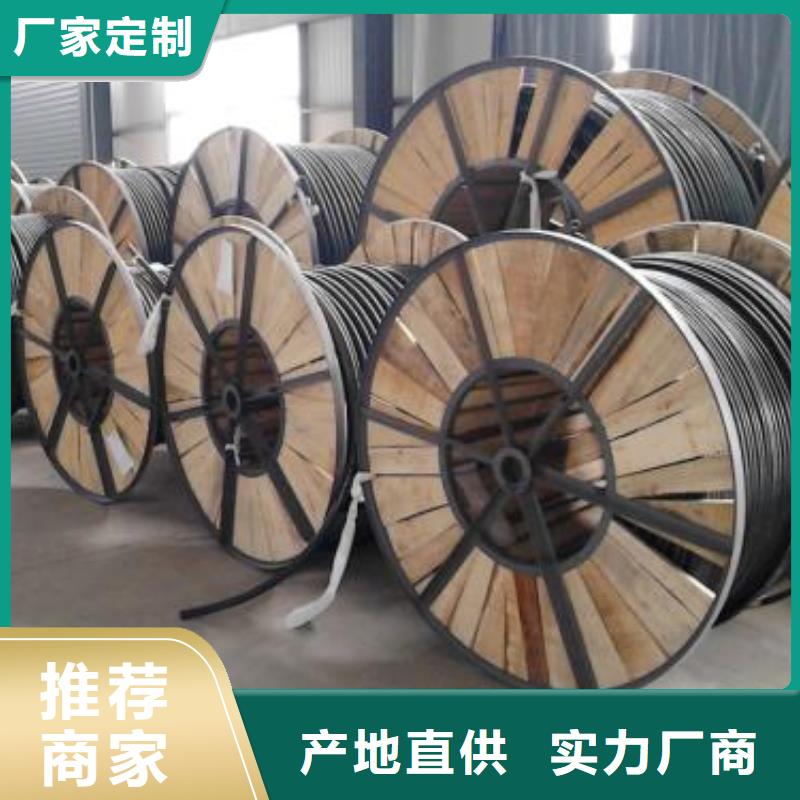 電線電纜【PTYA23電纜】本地廠家值得信賴