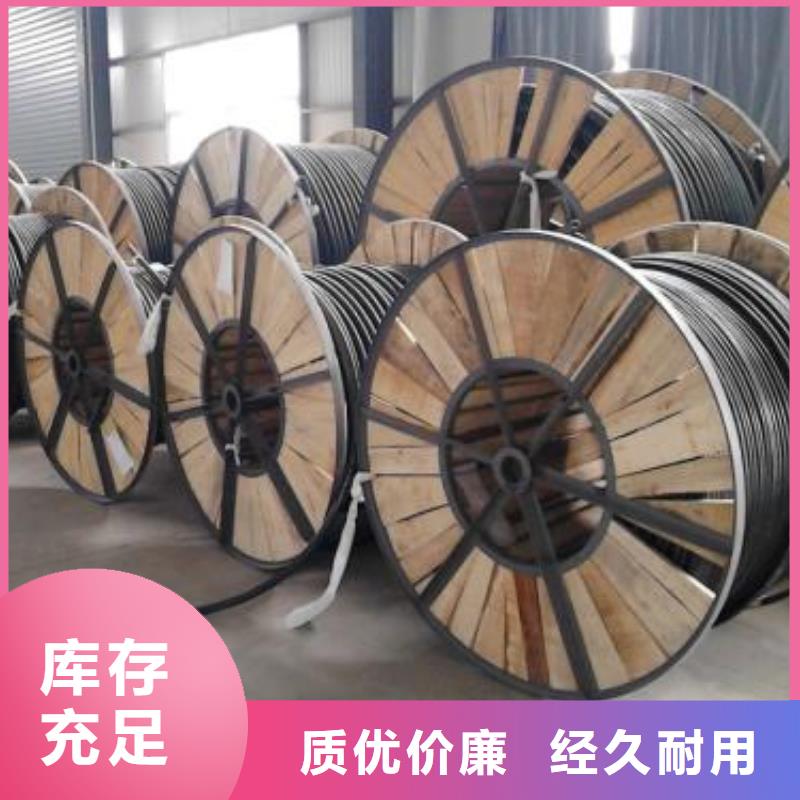 电线电缆_PTYA23电缆支持非标定制