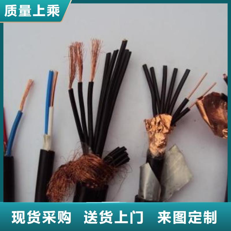 電線電纜RS485電纜現(xiàn)貨供應(yīng)