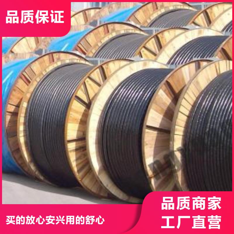 電線電纜RS485電纜實地大廠