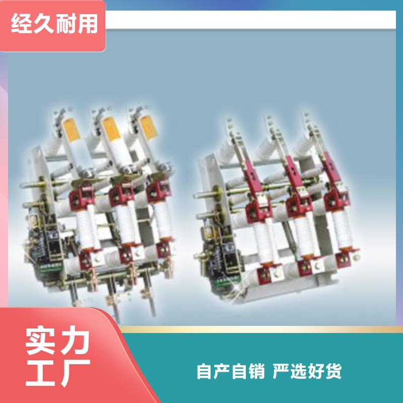 FN21-12D/630-20戶內高壓負荷開關