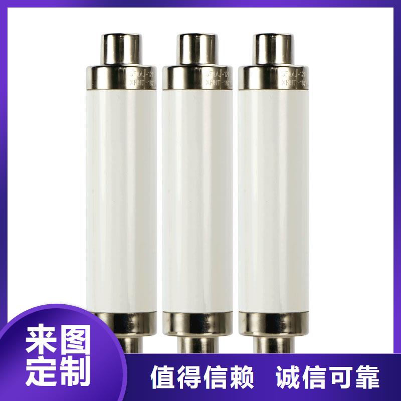 BRW2-10/100A雙管限流熔斷器