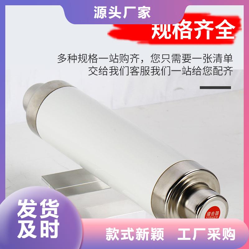 RN3-3/300雙管限流熔斷器
