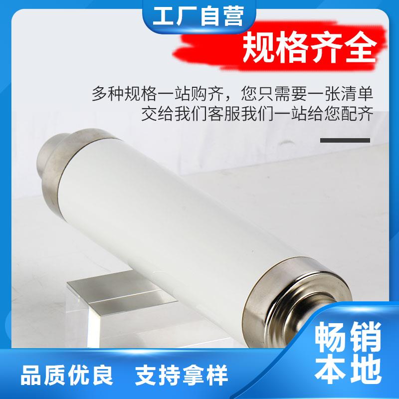 XRNP1-10KV/2A高壓限流熔斷器